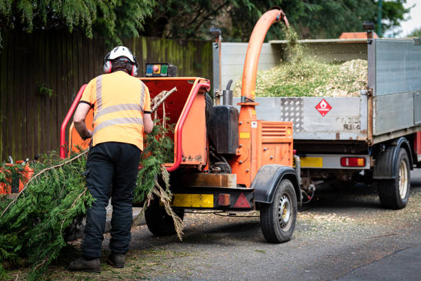Best Tree Preservation Services  in Pink, OK